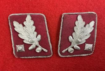 SA Gruppenfuhrer Collar Tabs