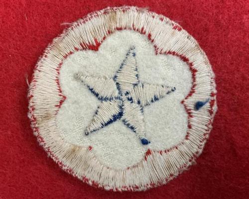 US Army Serives Felt Patch
