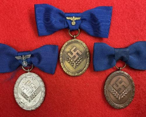 RAD Long Service Medal Grouping