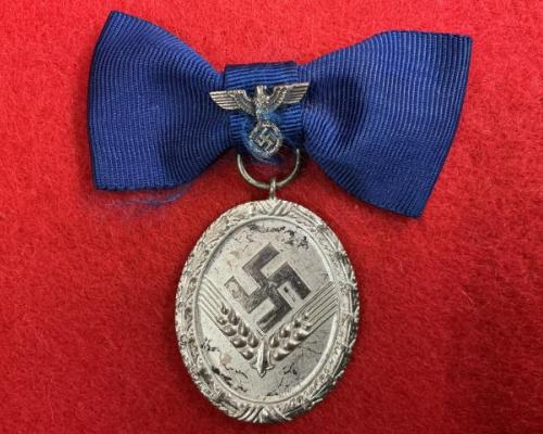 RAD Long Service Medal Grouping