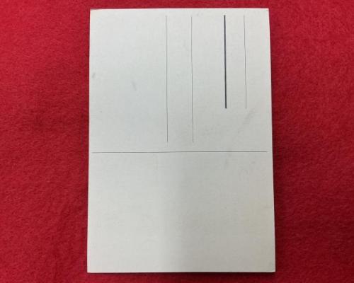 NSFK Flyers Postcard