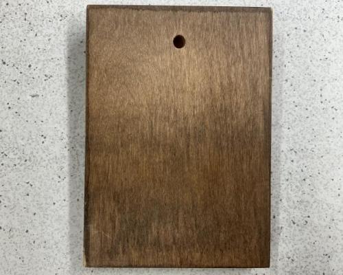 Soldier Profile Award Plaque
